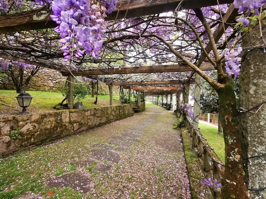 Pazo de Adrán: Magnífico hórreo en el jardín de Pazo de Adrán.
