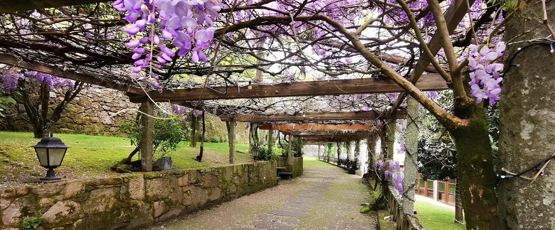 un camino a través de un parque con un banco y una farola