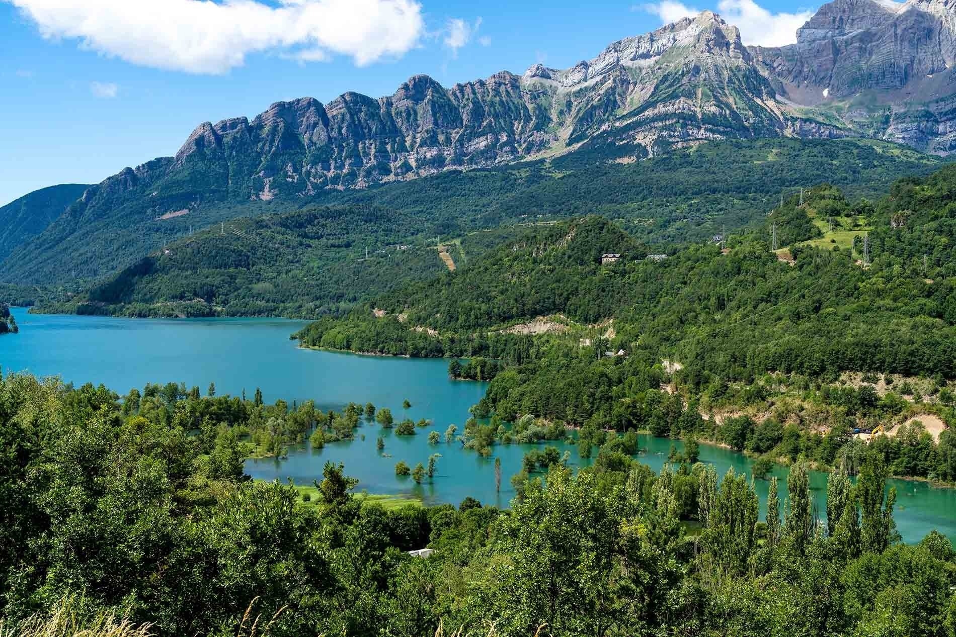 un lago con montañas en el fondo y flores moradas en primer plano