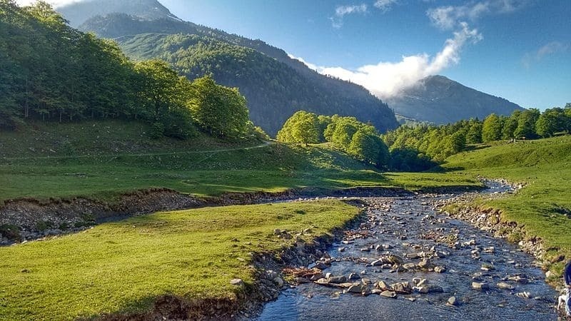 a herd of horses grazing in a field with mountains in the background