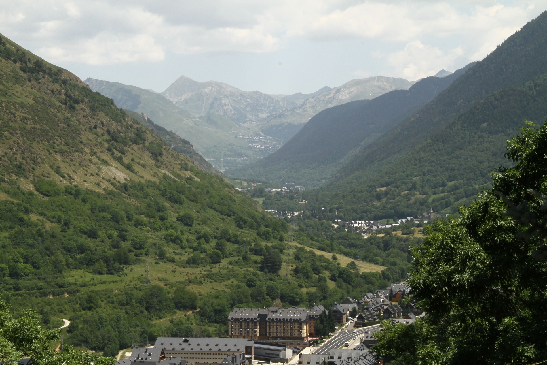 a herd of horses grazing in a field with mountains in the background