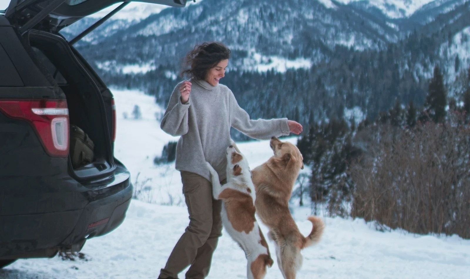 una mujer juega con dos perros en la nieve