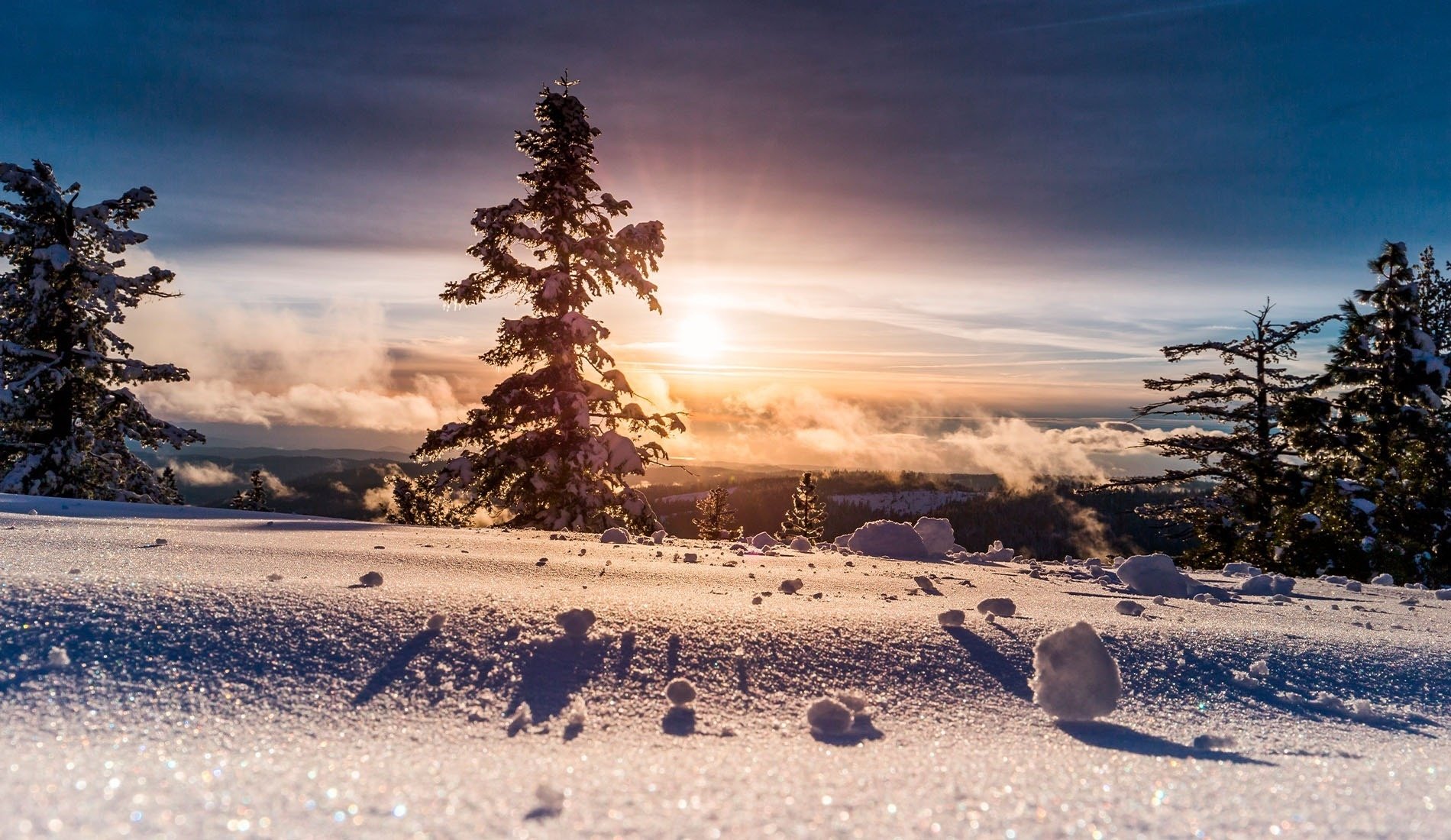 une femme joue avec deux chiens dans la neige