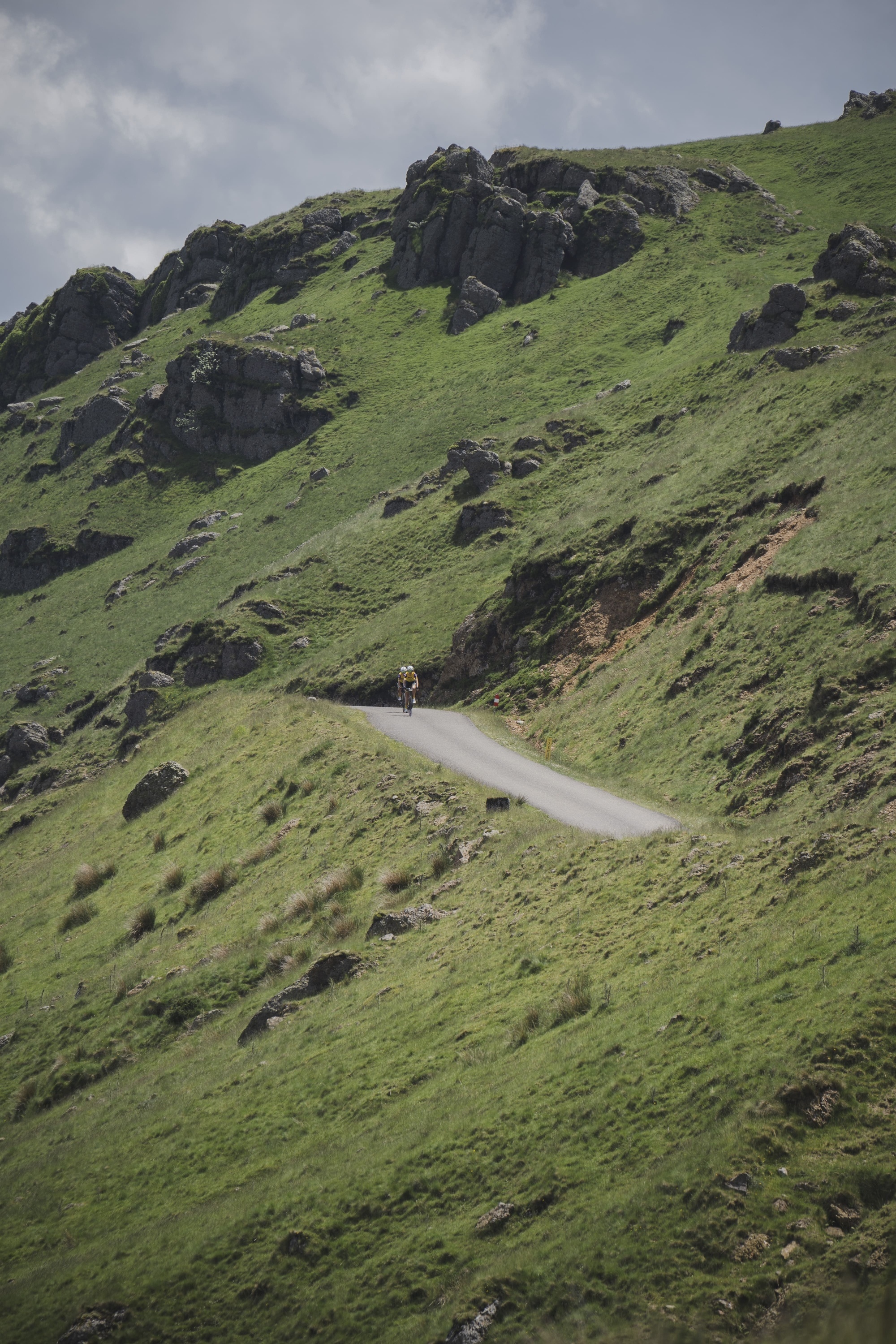 a person riding a bike down a road with trees in the background
