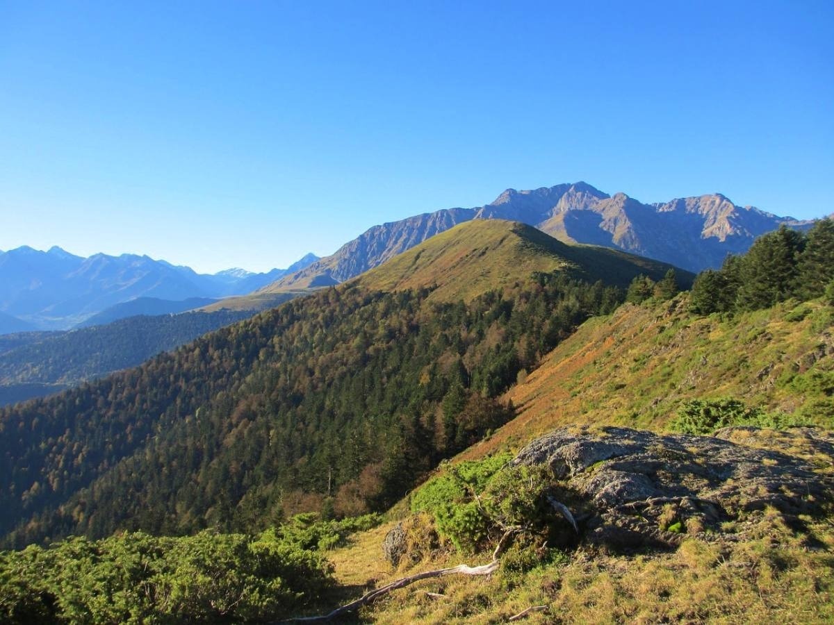 a mountain covered in trees and grass with a blue sky in the background