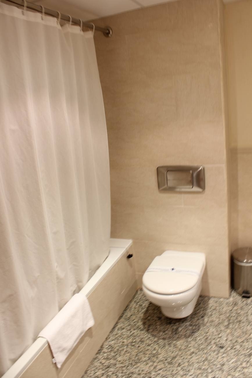 a bathroom with a toilet and a bathtub