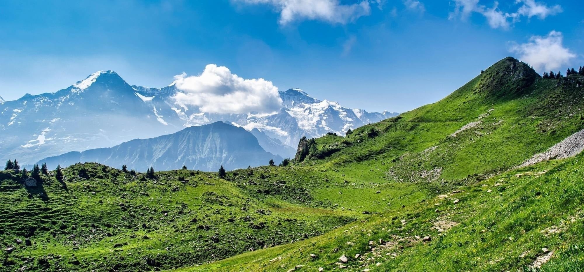 a mountain covered in trees and grass with a blue sky in the background