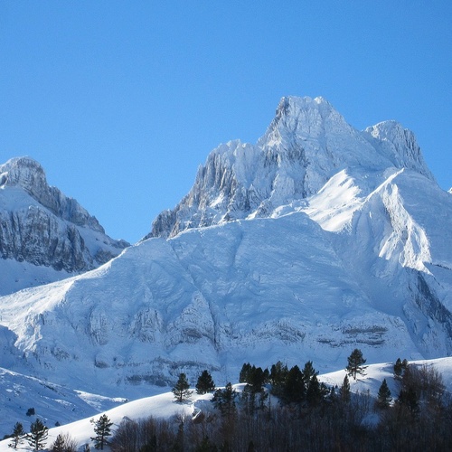 una montaña cubierta de nieve con árboles en primer plano