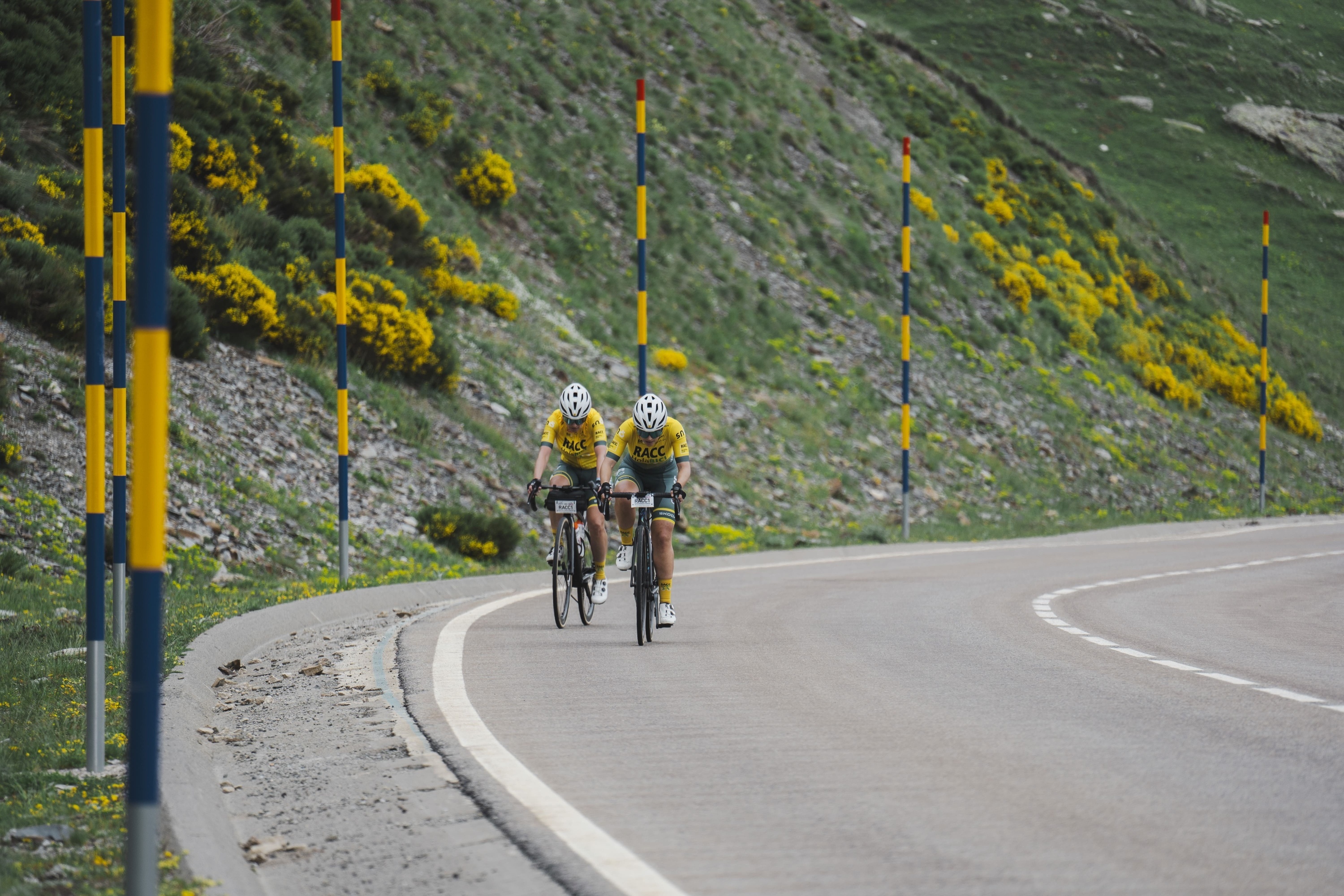 a person riding a bike down a road with trees in the background