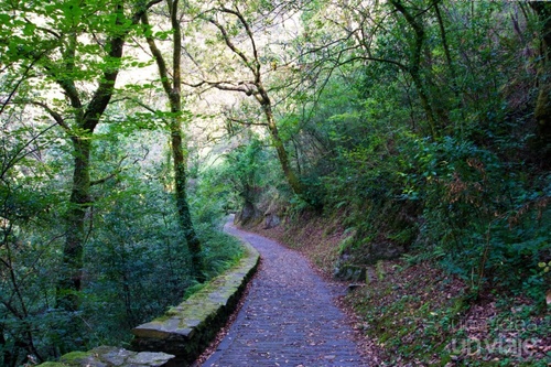 una puerta de vidrio con la palabra snobiesa encima