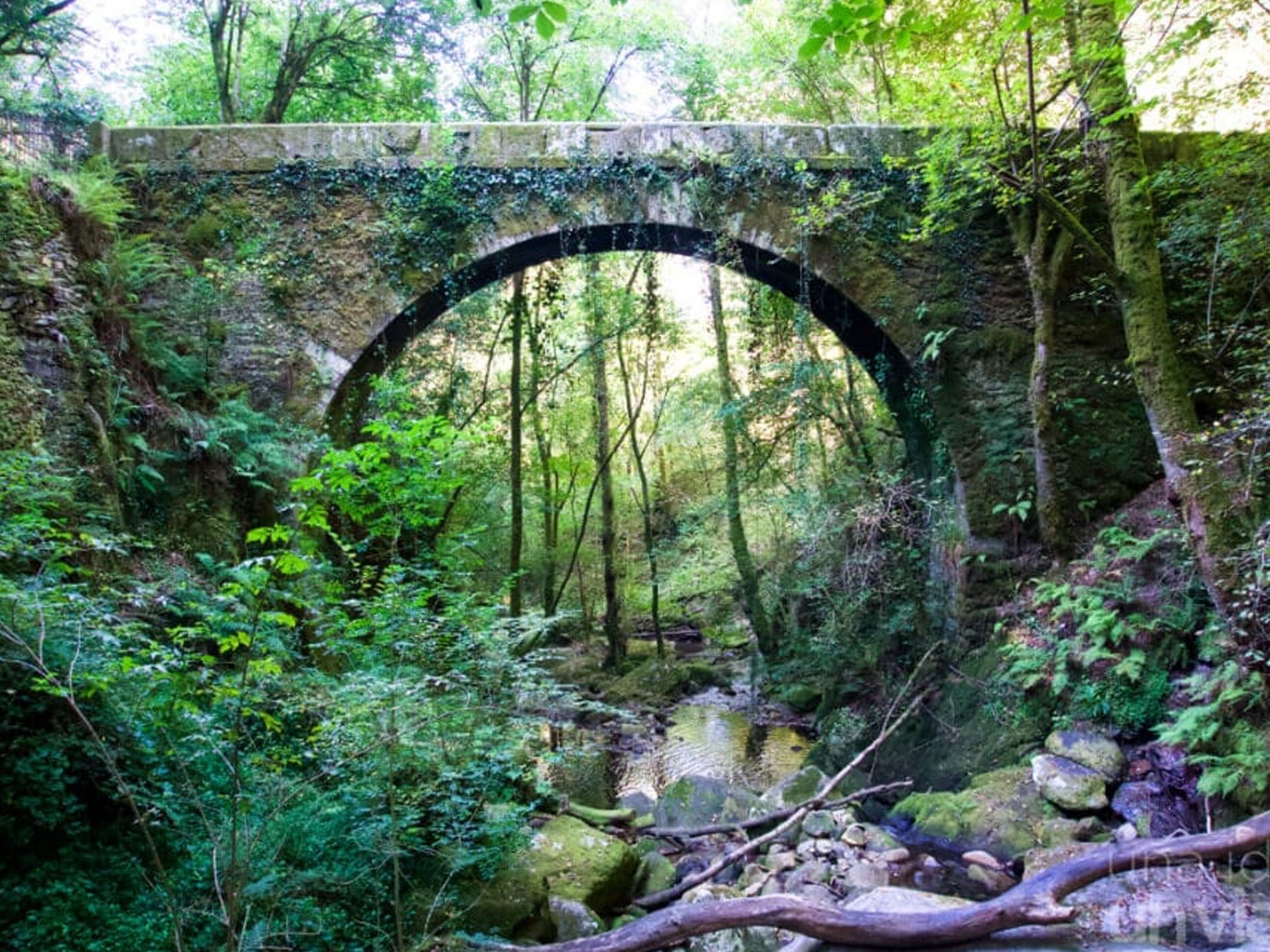 un coche está estacionado frente a un edificio de apartamentos