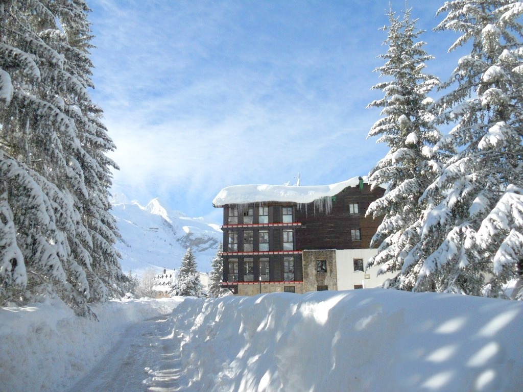 un grand bâtiment entouré d' arbres couverts de neige