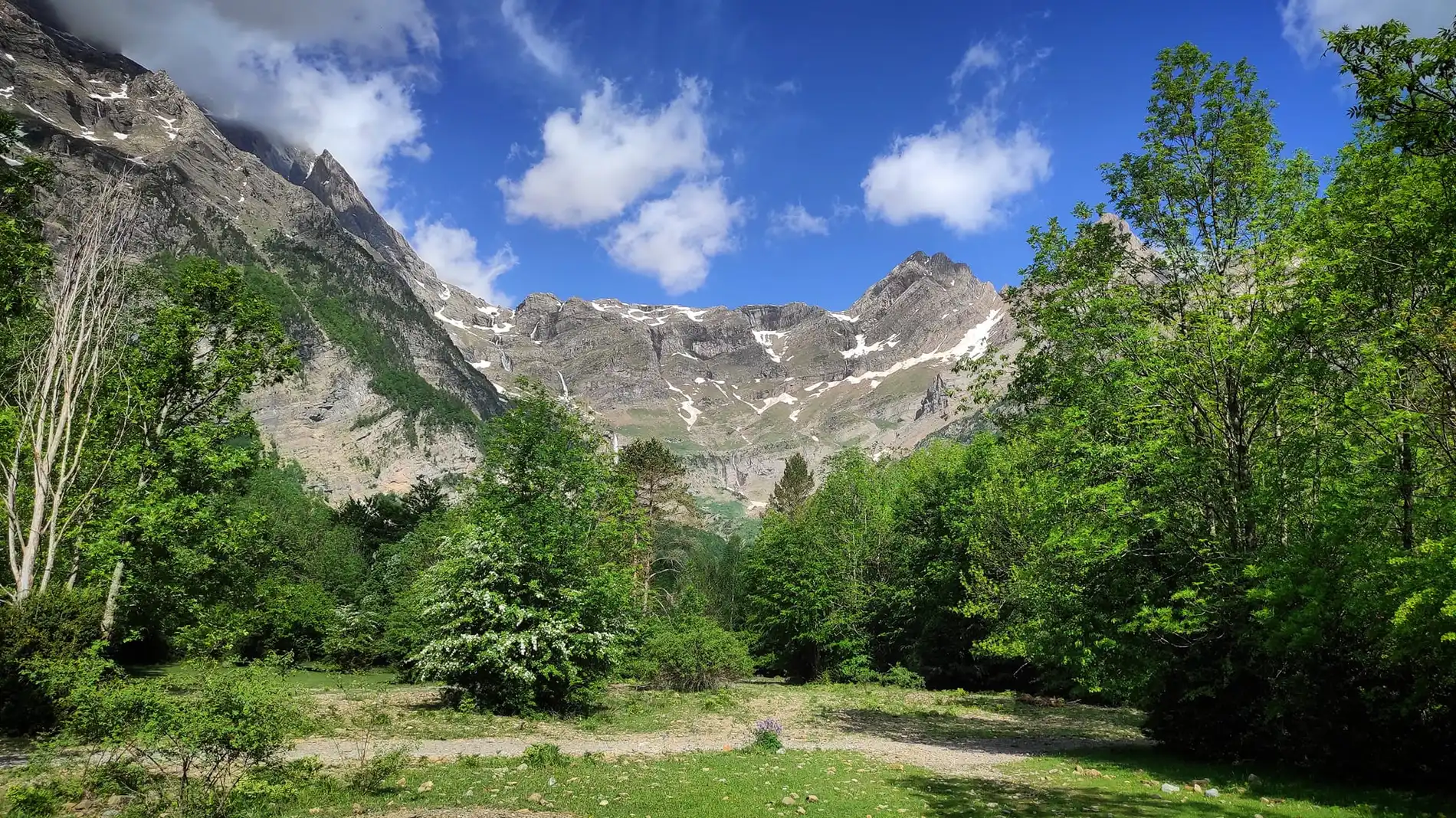 Rushing river and lush green mountains near Bielsa | SNO Hotels