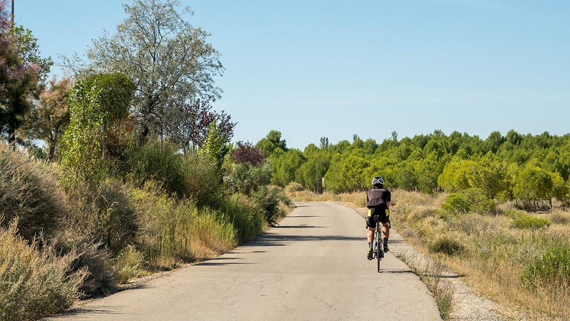 a person riding a bike down a road with trees in the background