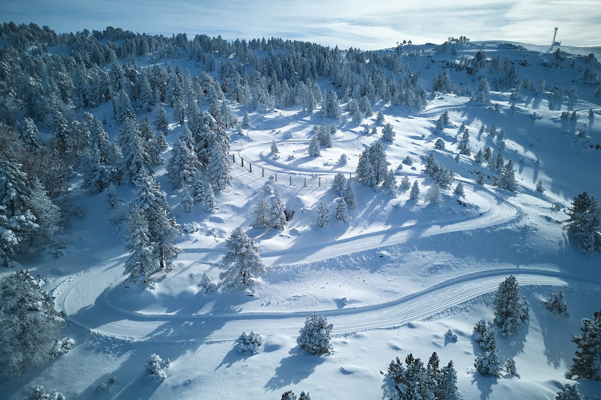 una vista aérea de un camino cubierto de nieve y árboles