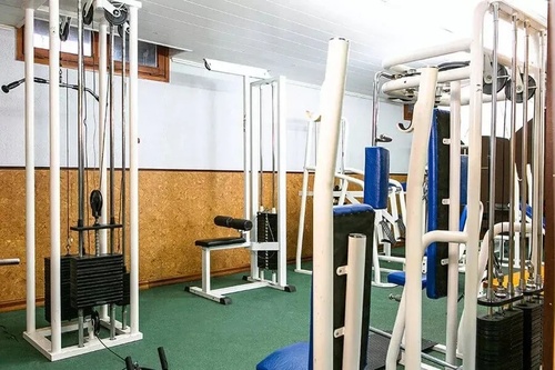 un gimnasio con muchos aparatos y una alfombra verde