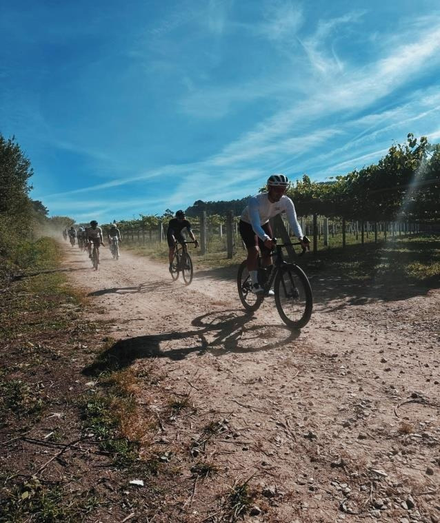 Cyclists crossing vineyards in Val do Salnés