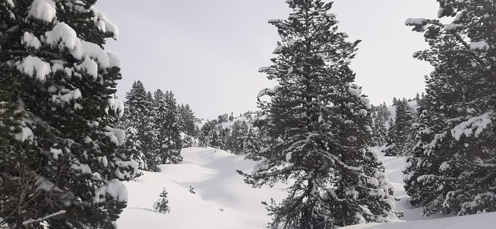 SNÖ Mont Romies | Valle de Arán: hotel histórico con torre de iglesia y montañas nevadas. SNÖ Hotels Web oficial.
