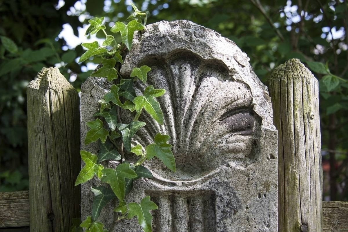 a stone sculpture with ivy growing out of it