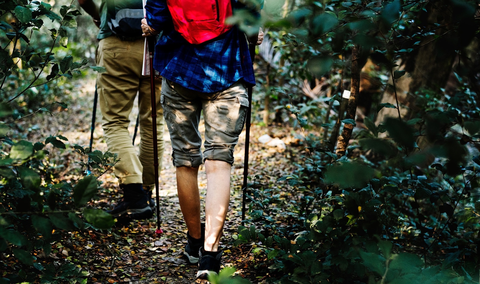 a person with a red backpack is walking through the woods