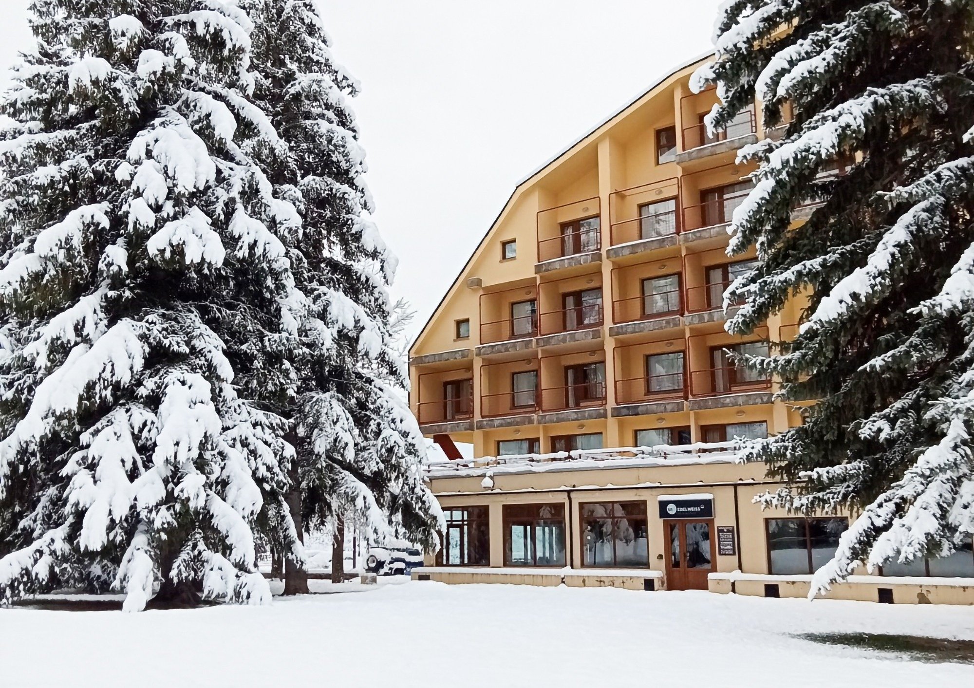 snow covered trees in front of a building with a sign that says ' hotel ' on it