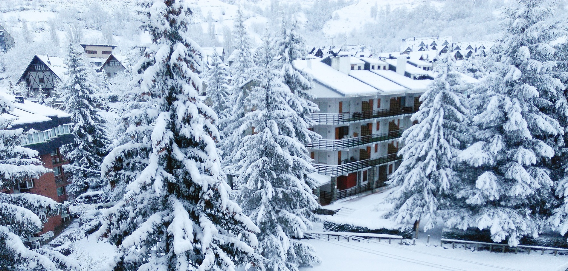 los árboles están cubiertos de nieve y hay un edificio en el fondo