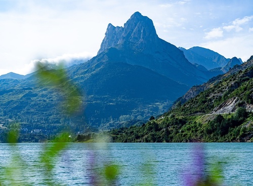 a lake with mountains in the background and purple flowers in the foreground
