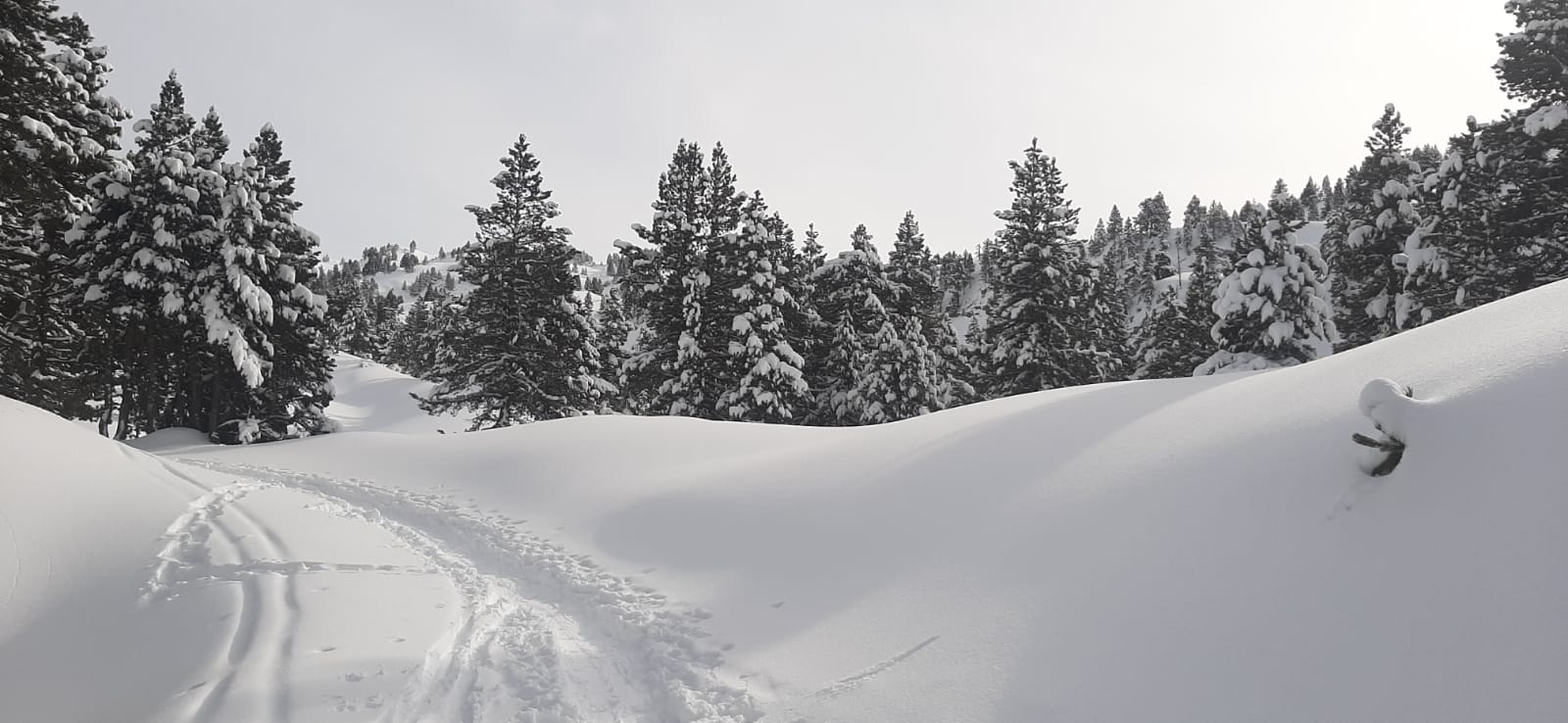 Hôtel SNÖ Mont Romies sous la neige, Vallée d'Aran. Tarifs & réservations sur le site officiel SNÖ Hotels.