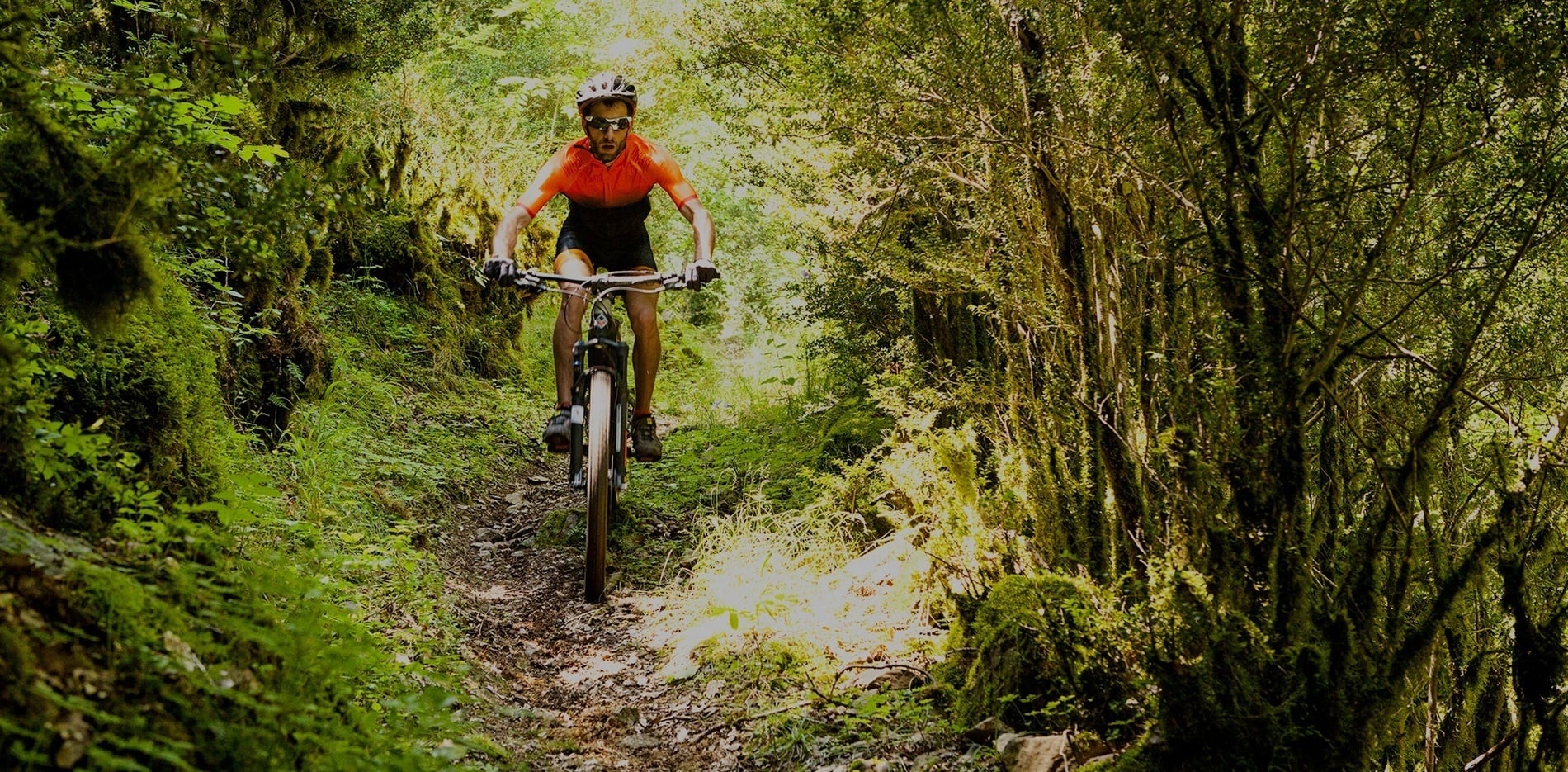 un hombre monta una bicicleta por un sendero en el bosque