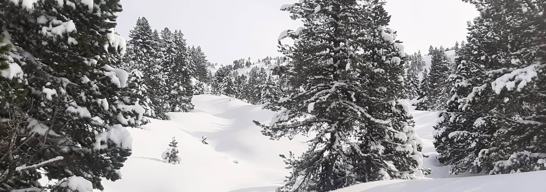 an aerial view of a hotel named hotel beret