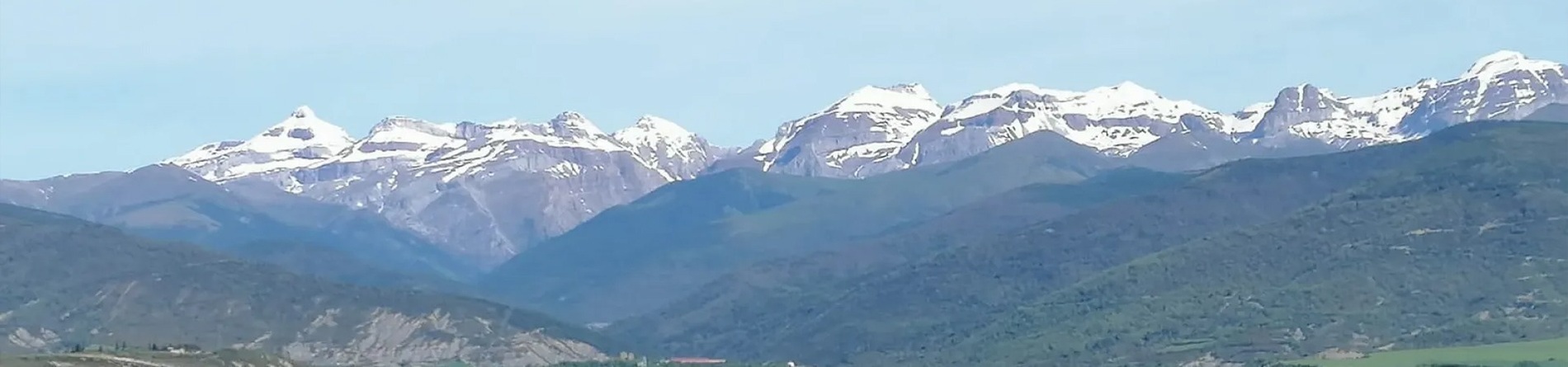 un edificio de piedra con un techo de tejas está rodeado de palmeras