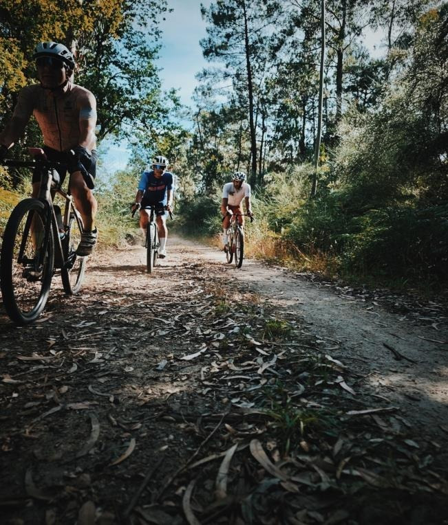 Cyclists on a forest path