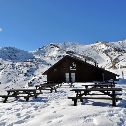 un edificio cubierto de nieve con la palabra el cervo en la parte delantera