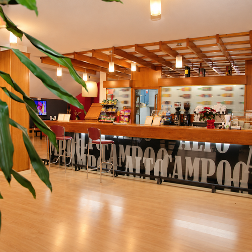 Modern bar SNO: La Corza Blanca with stools and drinks display.