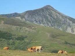 les montagnes sont couvertes de neige et de rochers