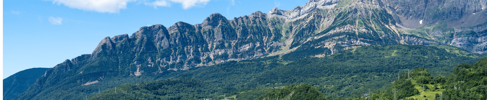 una montaña cubierta de árboles y arbustos en un día soleado