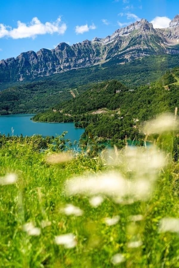 un lago con montañas en el fondo y flores moradas en primer plano
