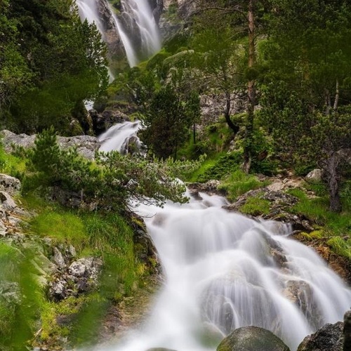 una cascada en un bosque rodeado de árboles y rocas