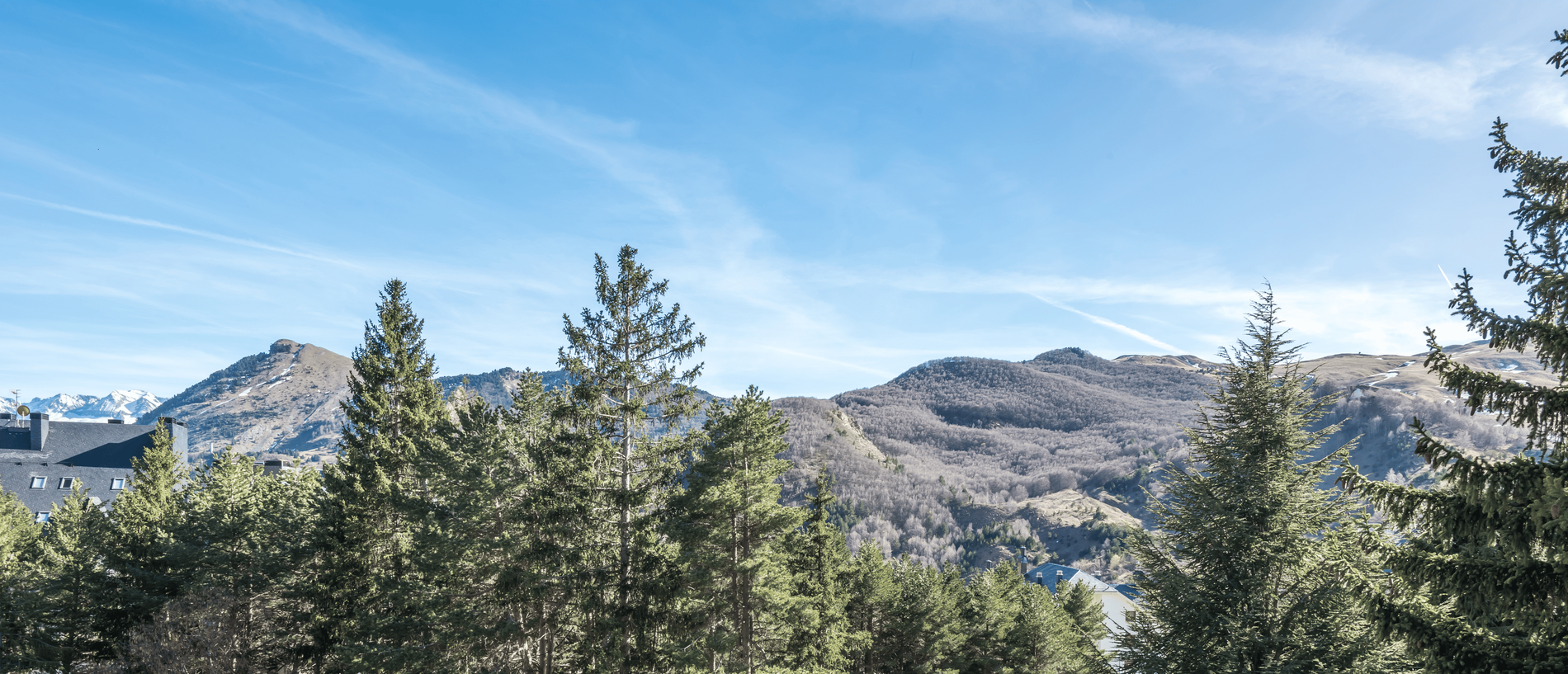 Hotel mountain view with tall pine trees, distant snow-capped peaks, and a bright blue sky.