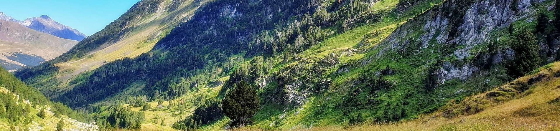 SNO Aragón Hills