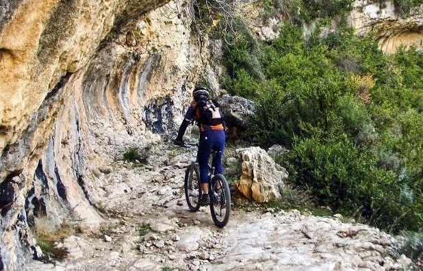 un homme fait du vélo sur une route avec des arbres en arrière-plan