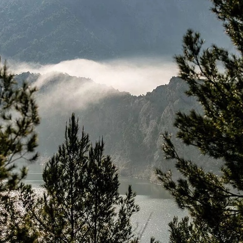 un lago rodeado de montañas cubiertas de niebla y árboles