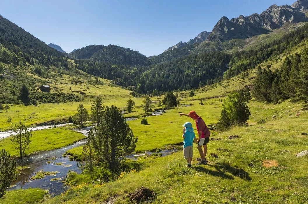 a man and a child are looking at a river in the mountains