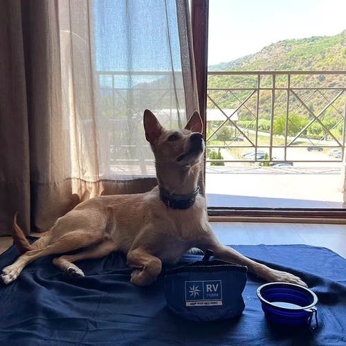 un perro acostado en una alfombra azul con una bolsa azul que dice rv