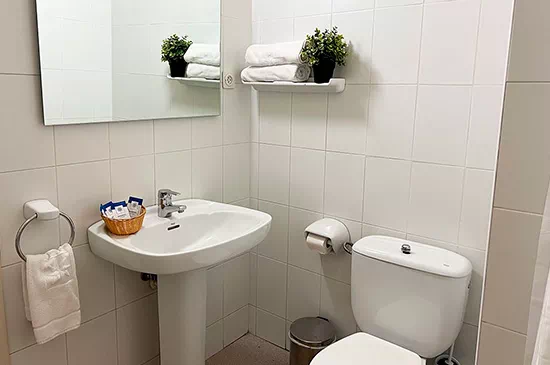 un baño con lavabo , inodoro y espejo .