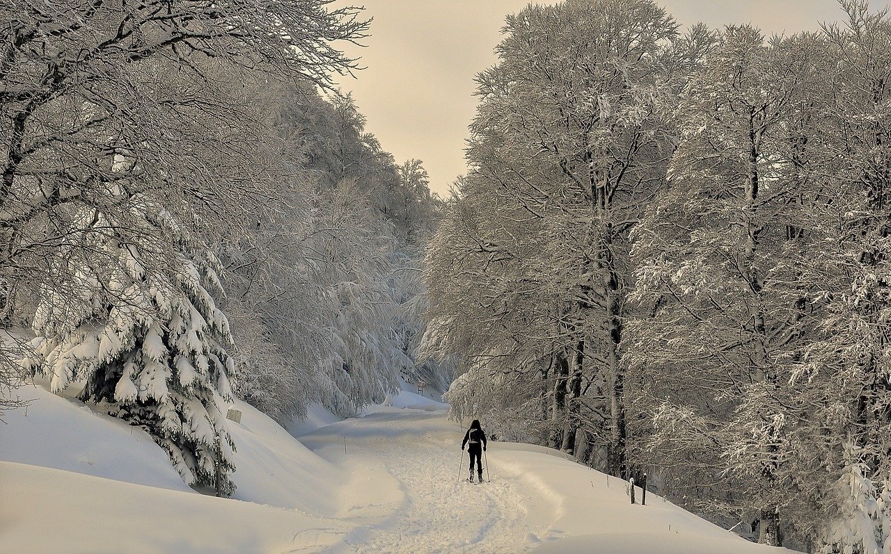 una persona camina por un sendero cubierto de nieve