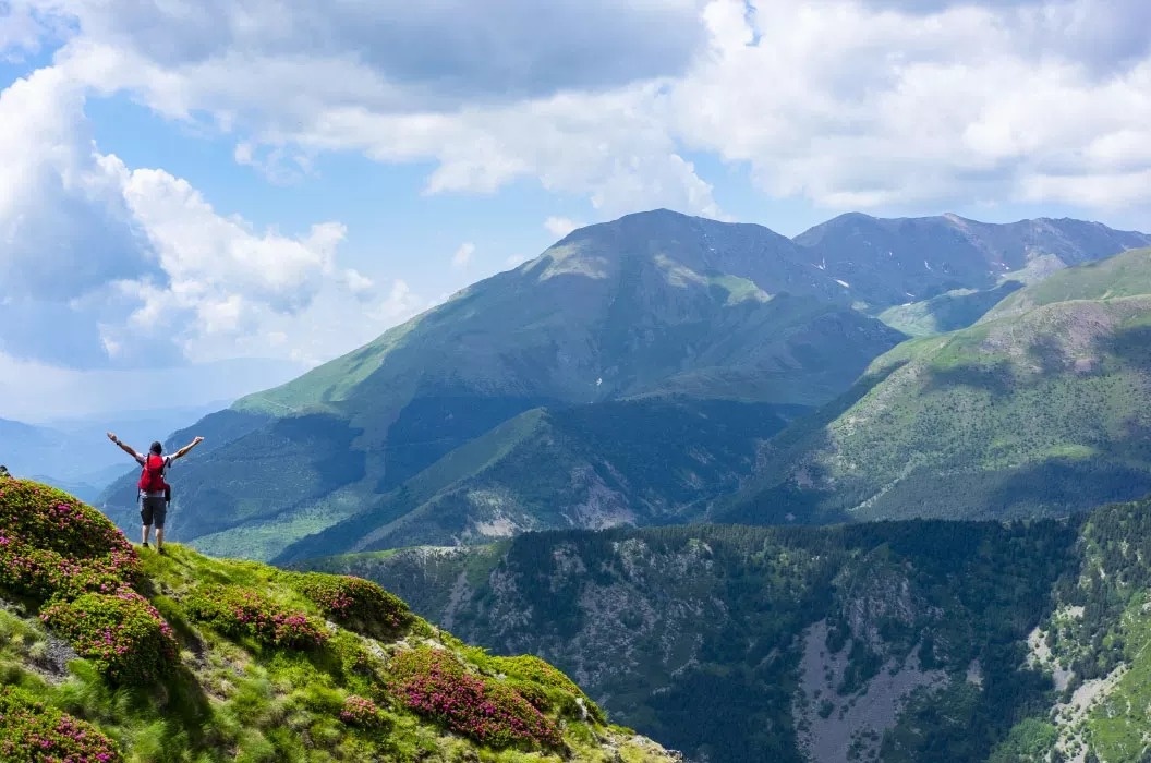 un train rouge et jaune traverse une vallée avec des montagnes en arrière-plan