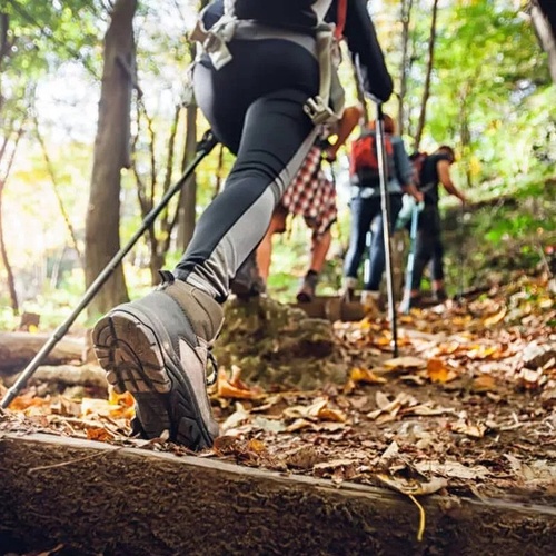 un grupo de personas camina por un sendero en el bosque