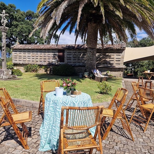 una mesa y sillas están alineadas frente a una palmera