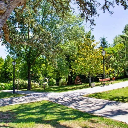 a path in a park with trees and a bench